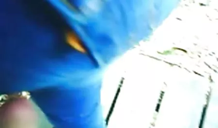 کوبینکا پشت صحنه فيلم هاي سكسي النا